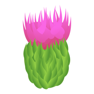 Milk Thistle