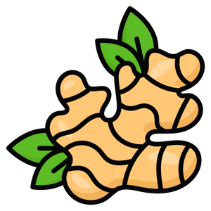 Turmeric Root
