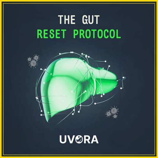 GRATIS - eBook Protocolo de reinicio intestinal