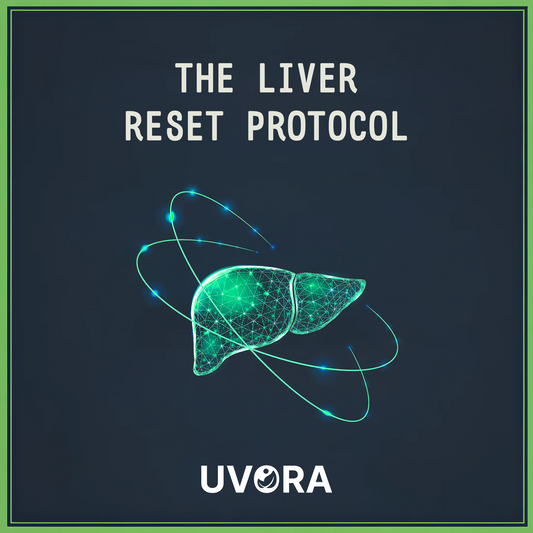 GRATIS - eBook del Protocolo de Reseteo Hepático