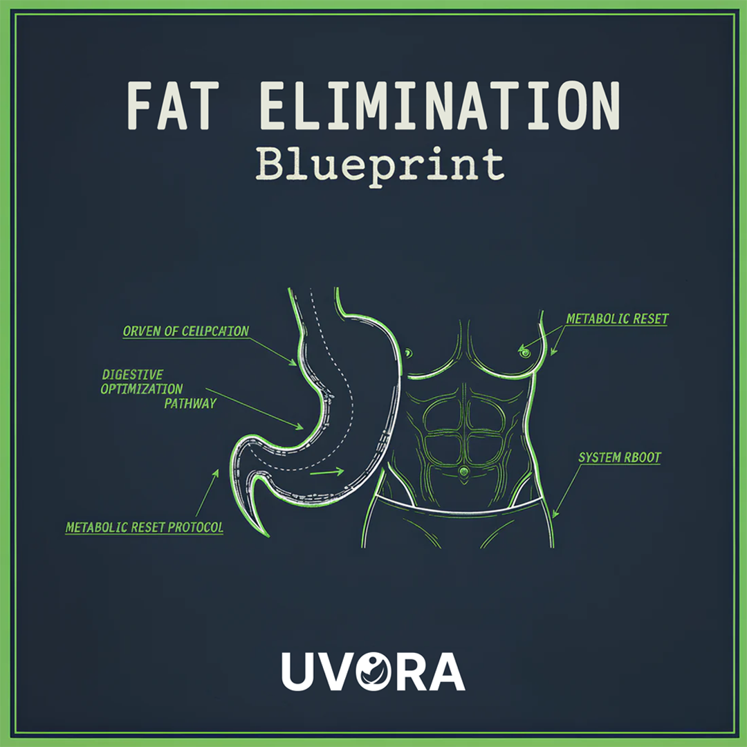 FREE - Fat Elimination Blueprint eBook