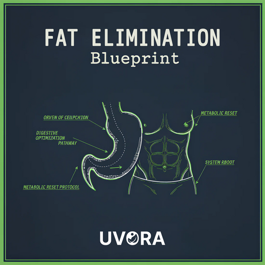 FREE - Fat Elimination Blueprint eBook