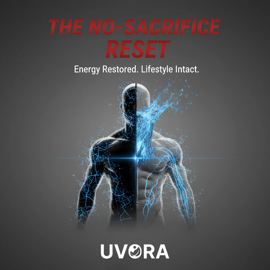 FREE - The No-Sacrifice Reset eBook